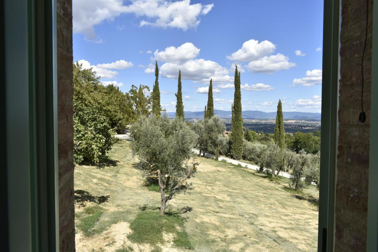 Cicolina * Montepulciano