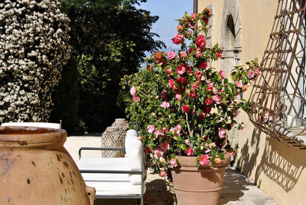 Landhuis Cicolina Montepulciano Stazione